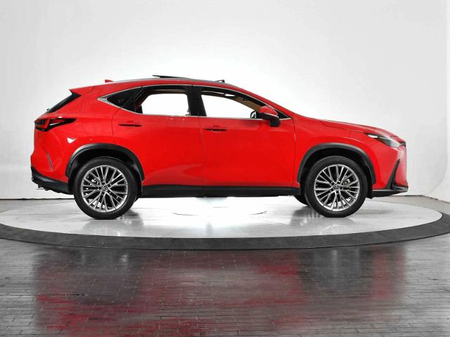 2022 Lexus NX 350 Vehicle Photo in DALLAS, TX 75235