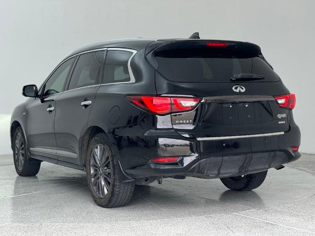 2020 INFINITI QX60 Vehicle Photo in San Antonio, TX 78230