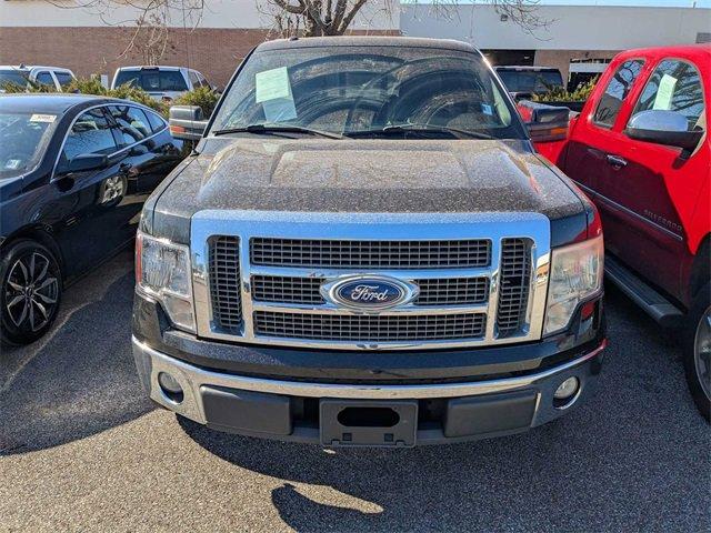 2010 Ford F150 Vehicle Photo in COLLIERVILLE, TN 38017-9006