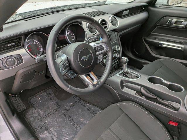 2023 Ford Mustang Vehicle Photo in SELMA, TX 78154-1460