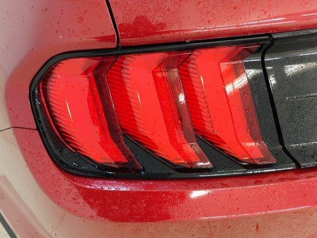 2021 Ford Mustang Vehicle Photo in Charlotte, NC 28212