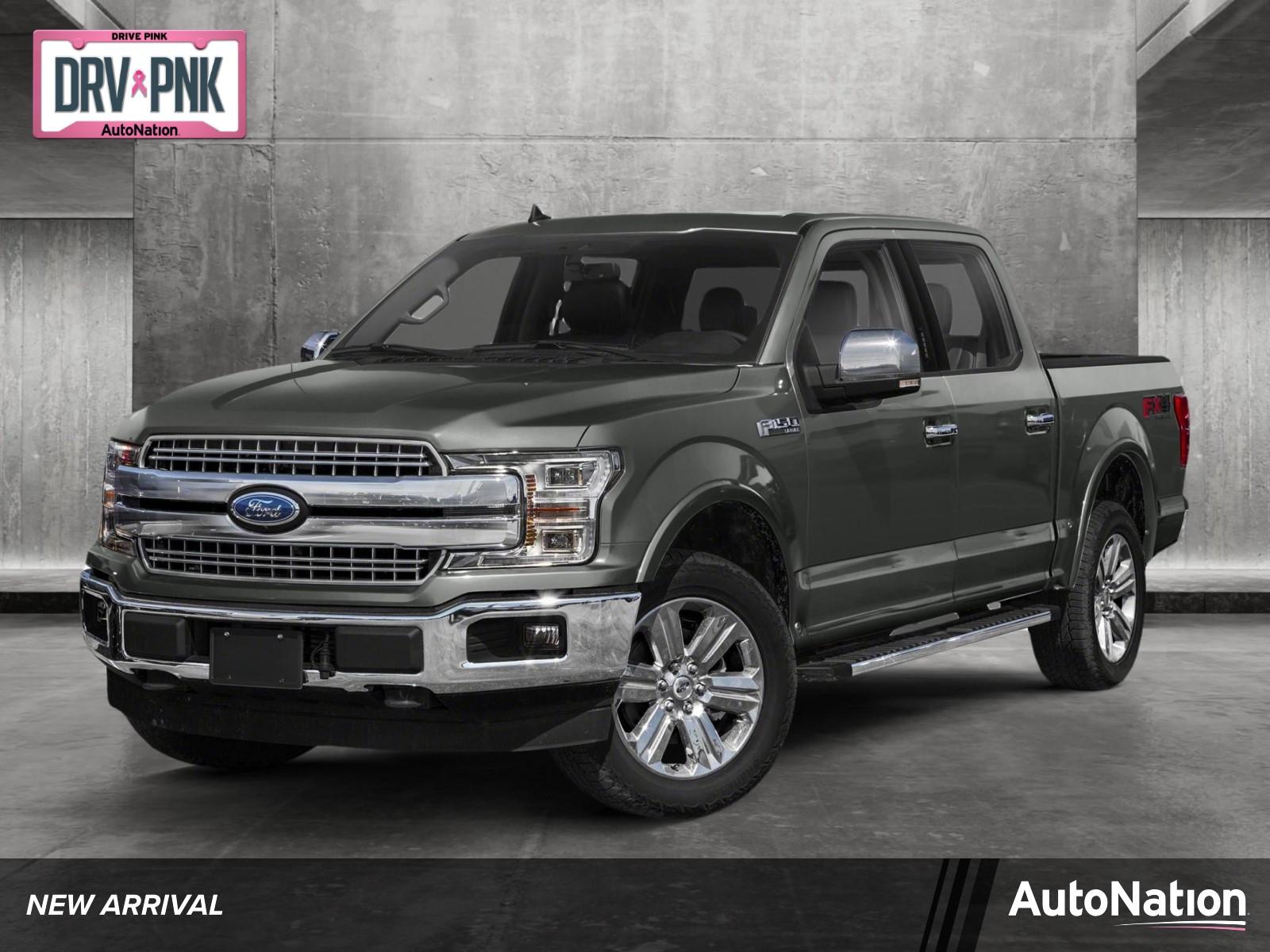 2019 Ford F-150 Vehicle Photo in Jacksonville, FL 32256