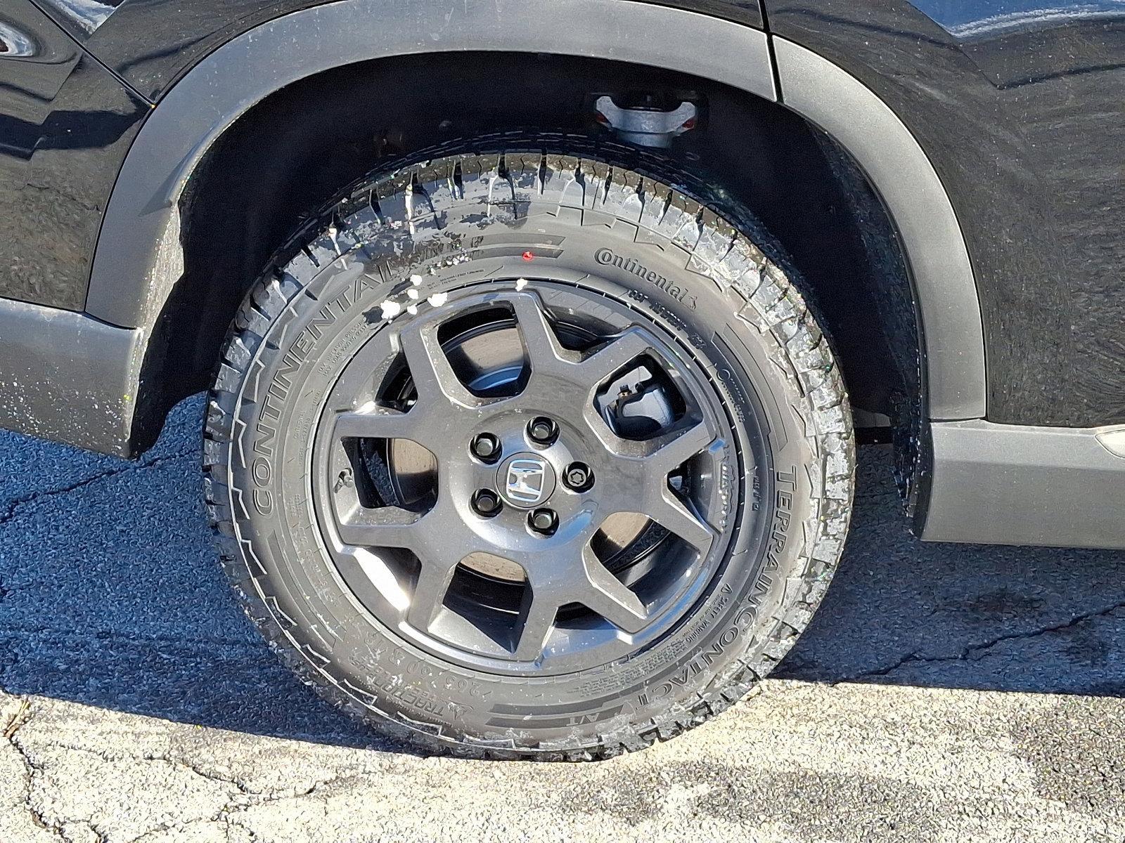 2025 Honda Pilot Vehicle Photo in Harrisburg, PA 17111