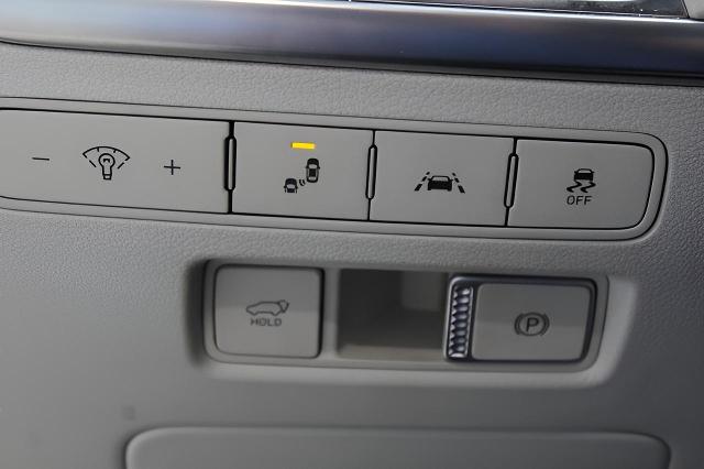 2020 Hyundai PALISADE Vehicle Photo in Green Bay, WI 54304