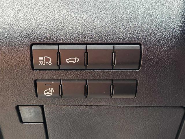 2017 Lexus RX 350 Vehicle Photo in FORT WORTH, TX 76132