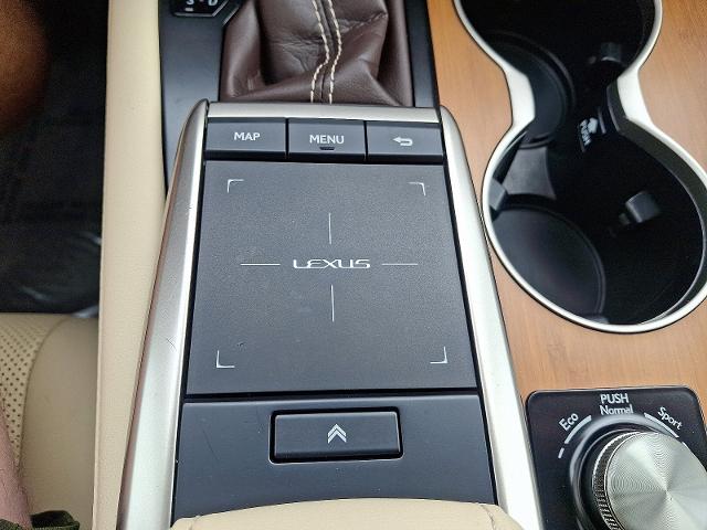 2020 Lexus RX Vehicle Photo in HARRISBURG, PA 17111-1033
