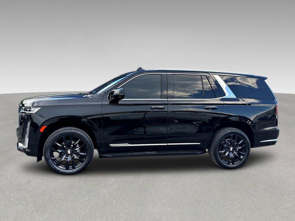2024 Cadillac Escalade Vehicle Photo in SAVANNAH, GA 31406-4513