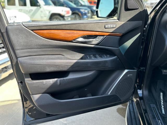 2019 Cadillac Escalade Vehicle Photo in San Antonio, TX 78230