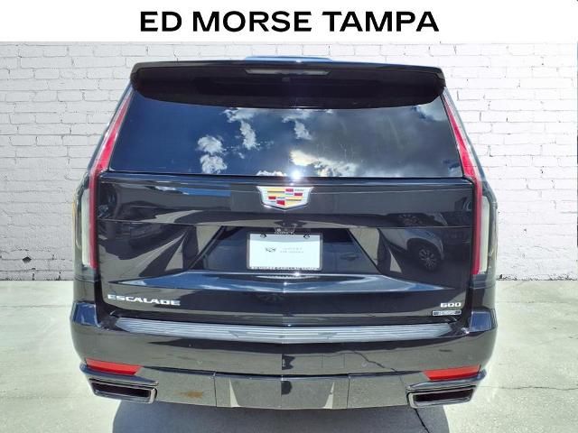 2021 Cadillac Escalade Vehicle Photo in Tampa, FL 33612