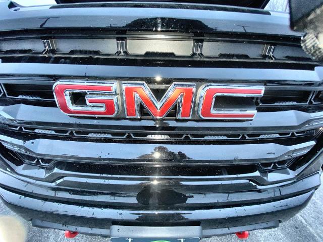 2022 GMC Sierra 1500 Limited Vehicle Photo in WILLIAMSVILLE, NY 14221-2883