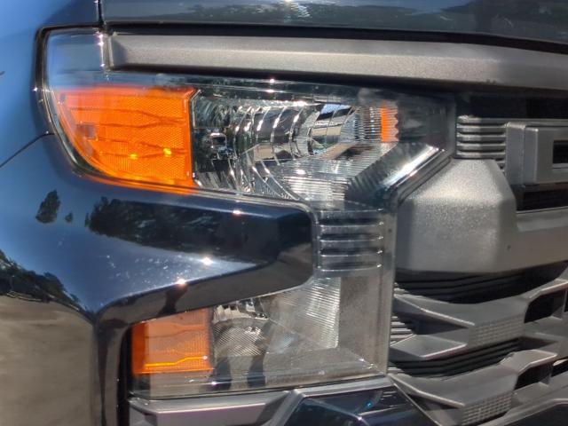 2024 Chevrolet Silverado 1500 Vehicle Photo in Brunswick, GA 31525