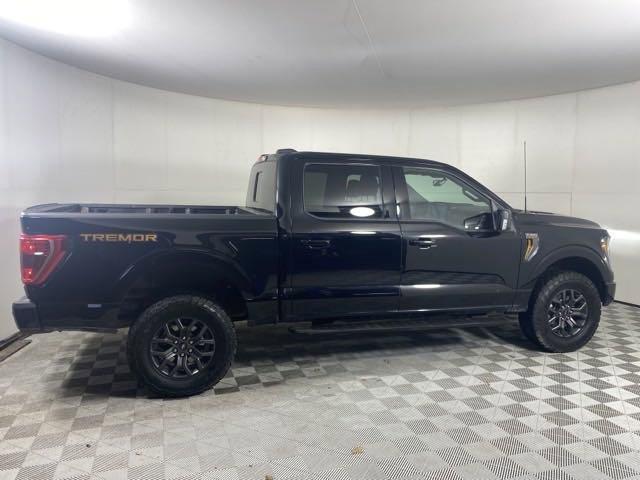 2023 Ford F150 Vehicle Photo in MEDINA, OH 44256-9001