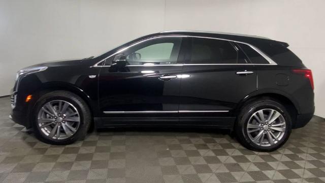 2024 Cadillac XT5 Vehicle Photo in ALLIANCE, OH 44601-4622