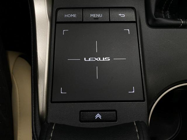 2018 Lexus NX 300 Vehicle Photo in Appleton, WI 54913