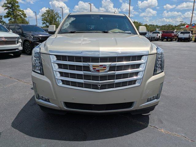 2017 Cadillac Escalade ESV Vehicle Photo in BRUNSWICK, GA 31525-1881