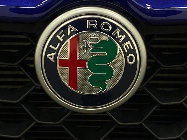 2020 Alfa Romeo Stelvio Vehicle Photo in Appleton, WI 54913