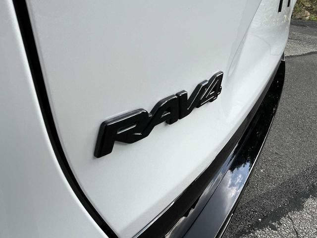 2024 Toyota RAV4 Vehicle Photo in PITTSBURGH, PA 15226-1209