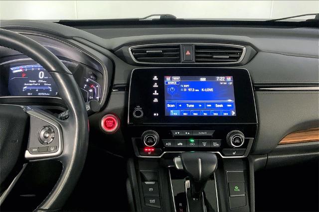 2019 Honda CR-V Vehicle Photo in Lees Summit, MO 64086