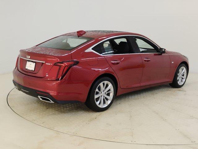 2025 Cadillac CT5 Vehicle Photo in PINEVILLE, NC 28134-8495