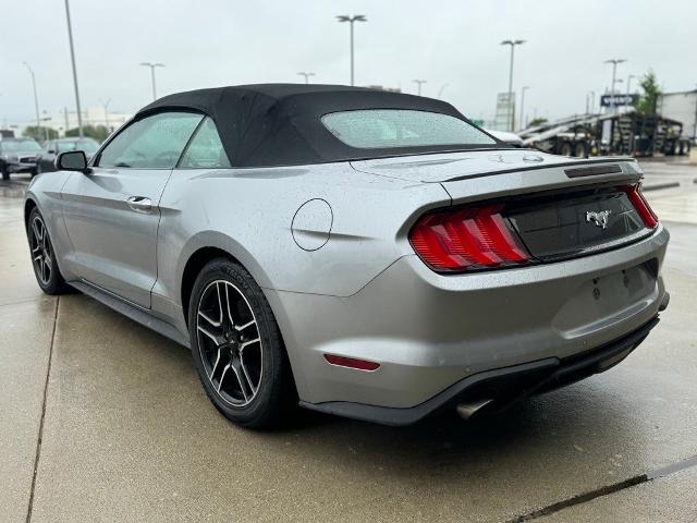 2023 Ford Mustang Vehicle Photo in San Antonio, TX 78230