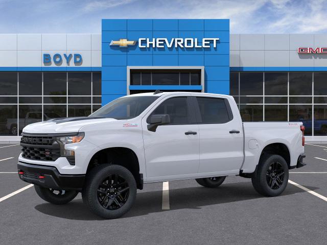 2025 Chevrolet Silverado 1500 Vehicle Photo in EMPORIA, VA 23847-1235