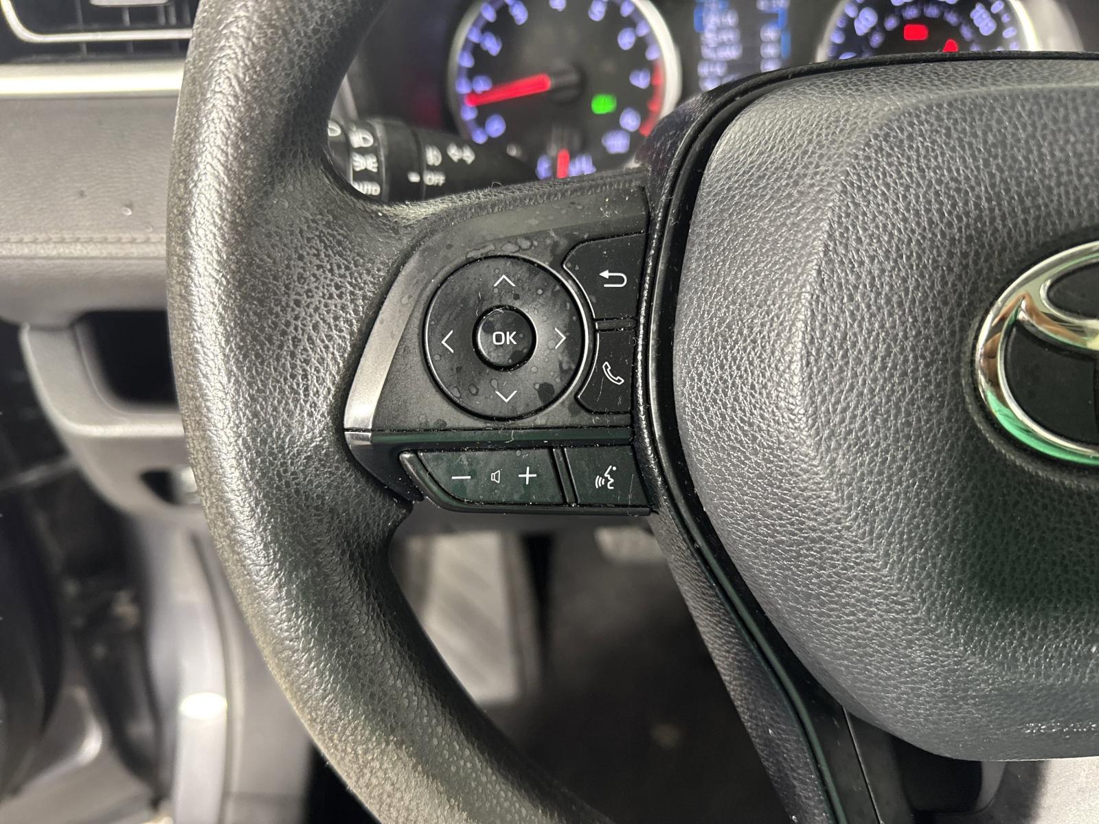 2019 Toyota RAV4 Vehicle Photo in GEORGETOWN, TX 78626-7508