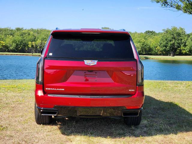 2021 Cadillac Escalade Vehicle Photo in DENTON, TX 76210-9321