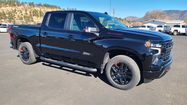 2025 Chevrolet Silverado 1500 Vehicle Photo in FLAGSTAFF, AZ 86001-6214