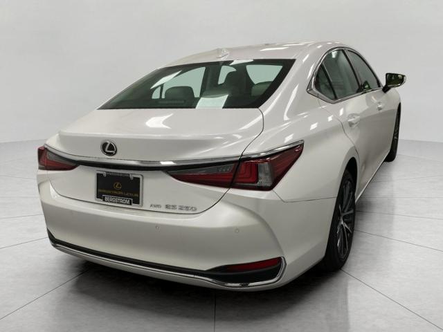 2024 Lexus ES 250 Vehicle Photo in Appleton, WI 54913