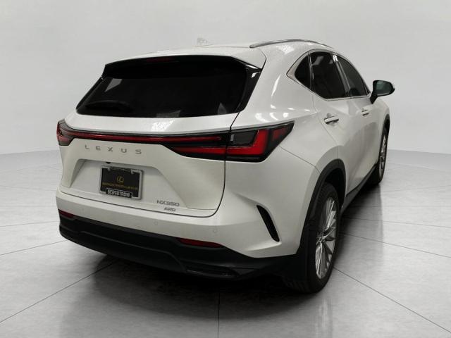 2024 Lexus NX 350 Vehicle Photo in Appleton, WI 54913