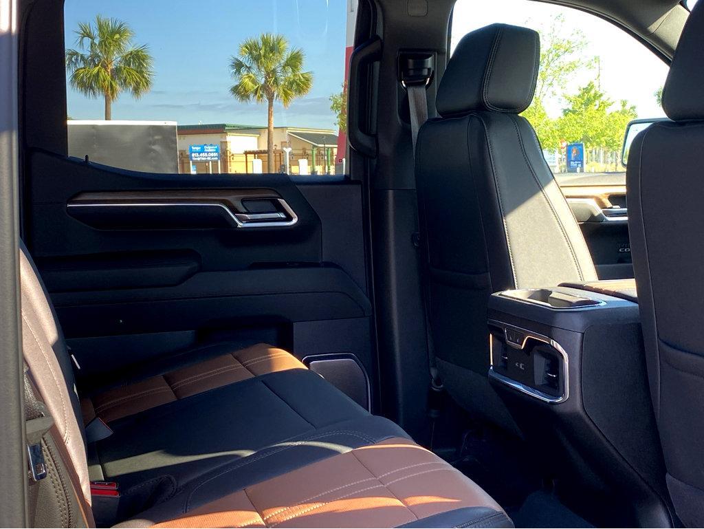 2025 Chevrolet Silverado 1500 Vehicle Photo in BEAUFORT, SC 29906-4218