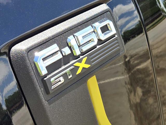 2024 Ford F-150 Vehicle Photo in DENTON, TX 76210-9321