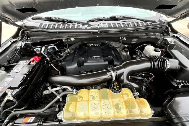 2020 Ford Expedition Max Vehicle Photo in San Antonio, TX 78230