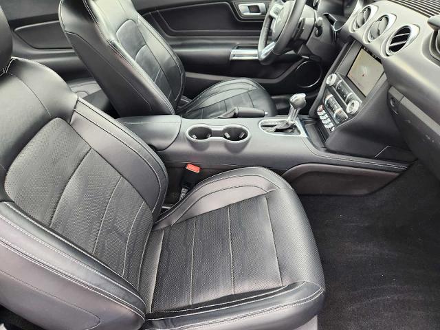 2019 Ford Mustang Vehicle Photo in DALLAS, TX 75209