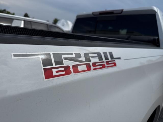 2020 Chevrolet Silverado 1500 Vehicle Photo in ENGLEWOOD, CO 80113-6708