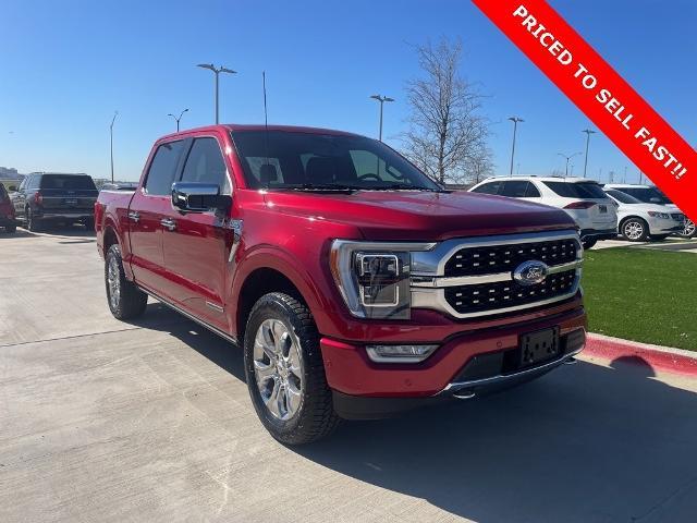 2022 Ford F-150 Vehicle Photo in San Antonio, TX 78230