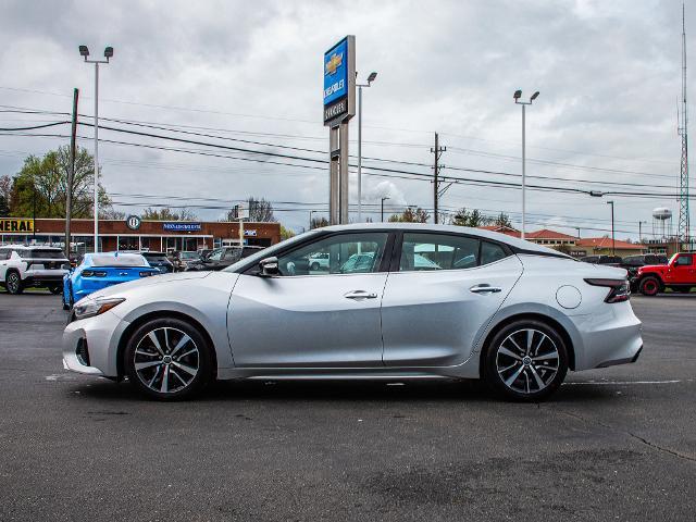2023 Nissan Maxima Vehicle Photo in MADISON, IN 47250-1611