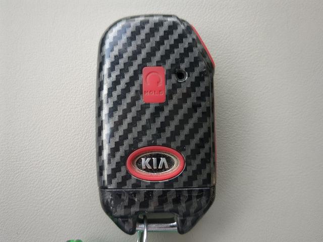 2021 Kia Sorento Hybrid Vehicle Photo in Brunswick, GA 31525