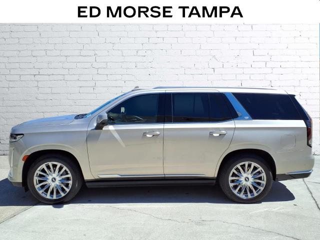 2021 Cadillac Escalade Vehicle Photo in TAMPA, FL 33612-3404