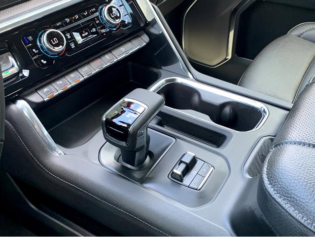 2025 GMC Sierra 1500 Vehicle Photo in BEAUFORT, SC 29906-4218