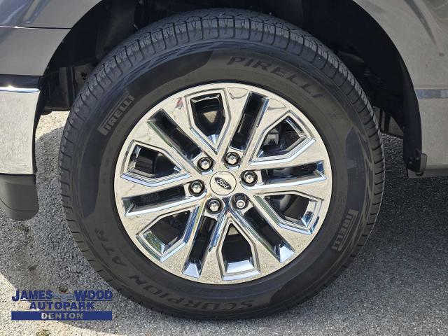 2024 Ford F-150 Vehicle Photo in DENTON, TX 76210-9321
