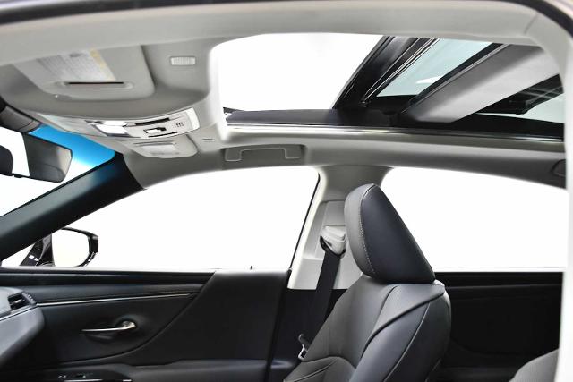 2023 Lexus ES 350 Vehicle Photo in DALLAS, TX 75235