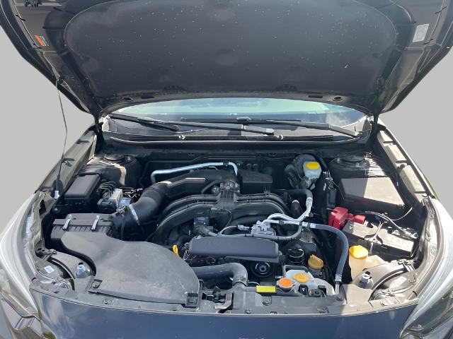 2024 Subaru Outback Vehicle Photo in Oshkosh, WI 54904