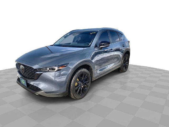 2022 Mazda CX-5 Vehicle Photo in WILLIAMSVILLE, NY 14221-2883