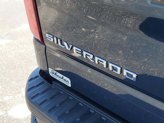 2019 Chevrolet Silverado 1500 Vehicle Photo in LIGHTHOUSE POINT, FL 33064-6849