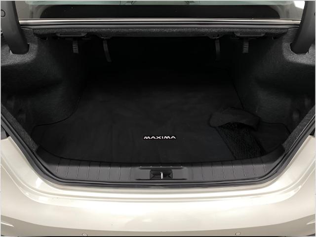 2020 Nissan Maxima Vehicle Photo in Appleton, WI 54913