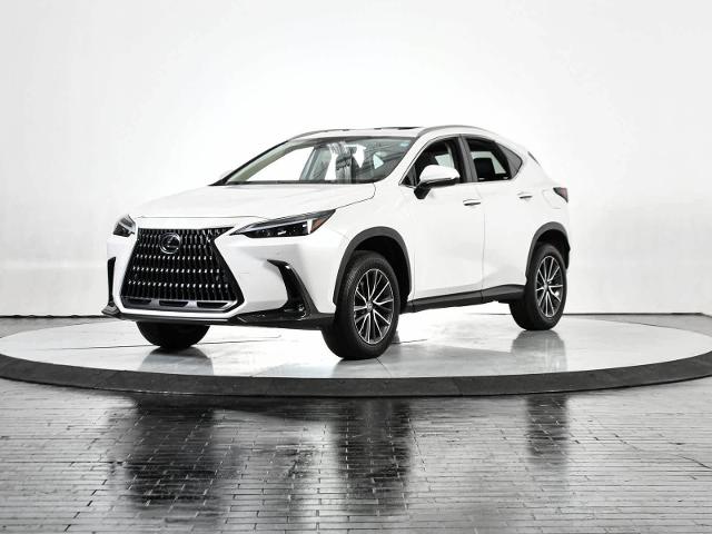 2024 Lexus NX 250 Vehicle Photo in DALLAS, TX 75235