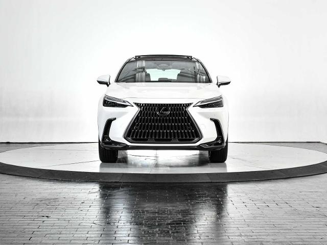 2024 Lexus NX 350h Vehicle Photo in DALLAS, TX 75235