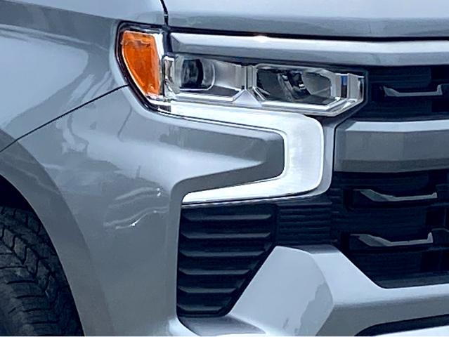 2025 Chevrolet Silverado 1500 Vehicle Photo in SAVANNAH, GA 31406-4513