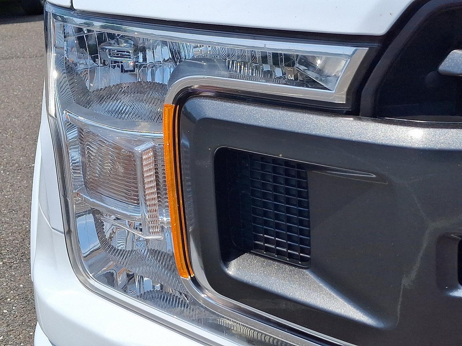 2019 Ford F-150 Vehicle Photo in Trevose, PA 19053